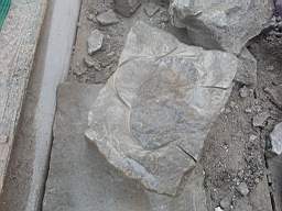 stcronans 3395.jpg